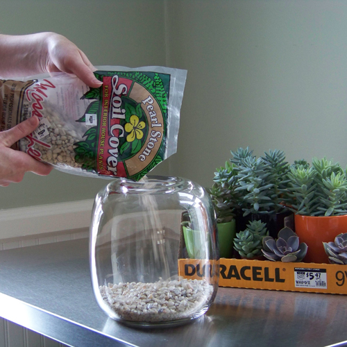 use stones to create a drainage layer for your terrarium