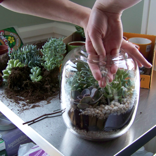 finish the terrarium with another layer of stone