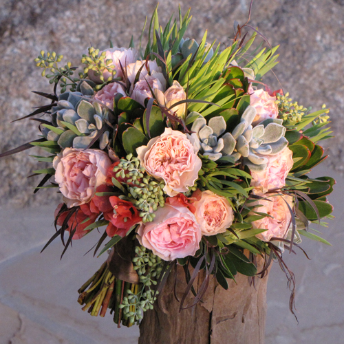 hand-tied bouquet with pink bougainvillea, Juliette Drouet garden roses, Echeveria 'frosty,' seeded eucalyptus, green leucadendron and agonis