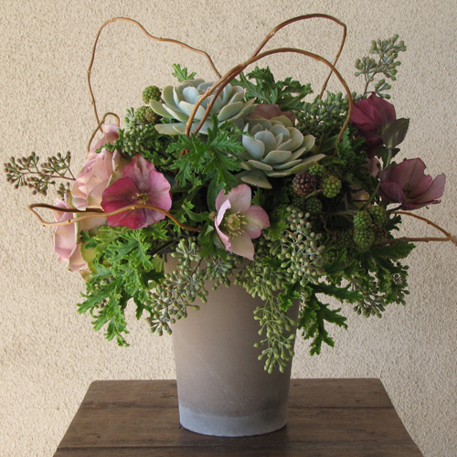 Garden style centerpiece with lavender hellebores, Amnesia roses, blackberries, Echeveria 'Lucita', seeded eucalyptus, scented geranium, and curly willow in a brown clay pot