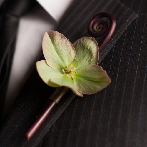 Boutonniere with a single pink-edged green hellebore, accented with a fiddlehead fern curl. Photo by The R2 Studio.