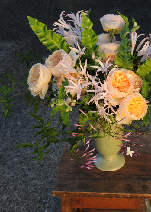Centerpiece with Juliette garden roses, blush nerine lilies, pink tweedia, jasmine vine, and Asplenium ‘Crispy Wave’ foliage, by Floral Verde LLC, Cincinnati, OH.