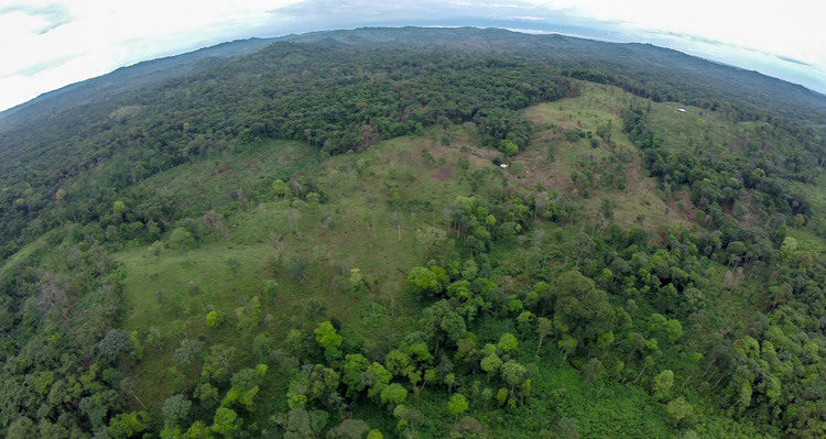 View of illegal deforestation of the Rama territory. Clear cutting for cattle grazing - video still, Tom Miller