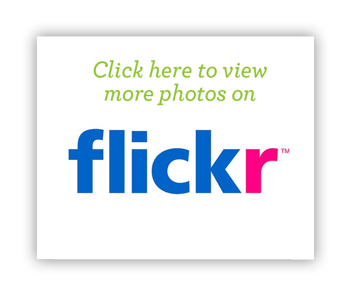 flickr-rss