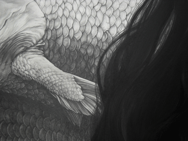coelacanth-detail-1