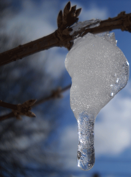 ice-drip