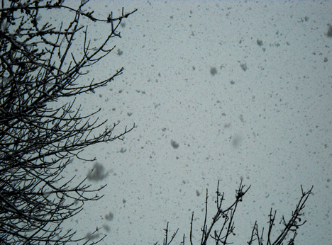 snow falling outside of my studio window