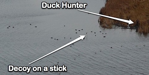 duck hunter-1.jpg