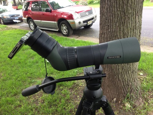 65mm scope