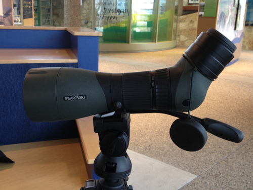 85 mm scope
