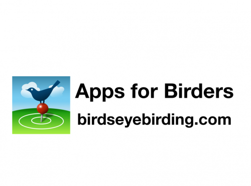 BirdsEye logo