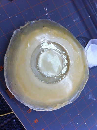 Clear epoxy resin in latex mold