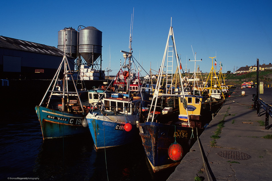 Boats in Wicklow Harbour, 1998