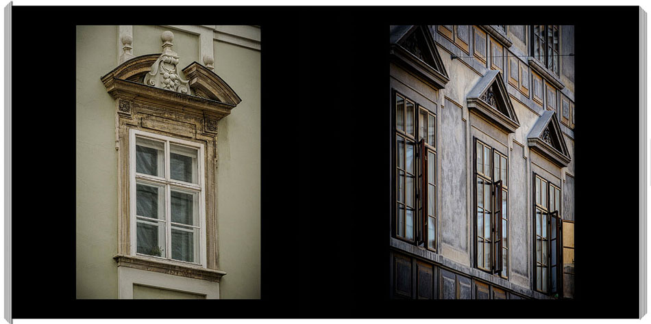 Windows in Vienna