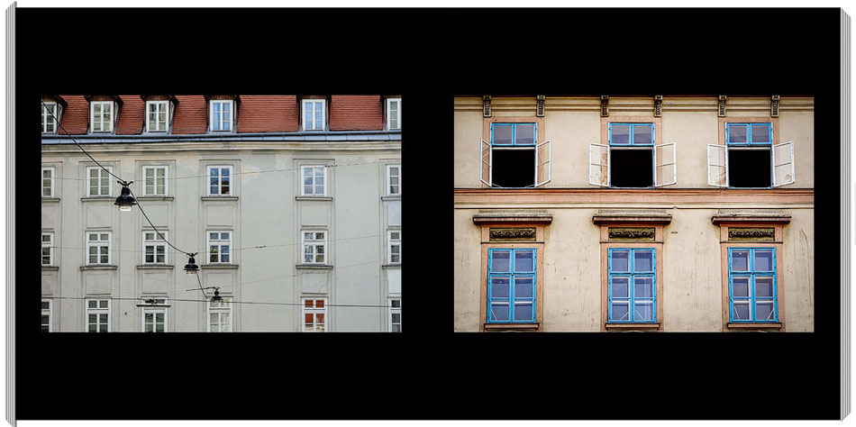 Windows In Vienna
