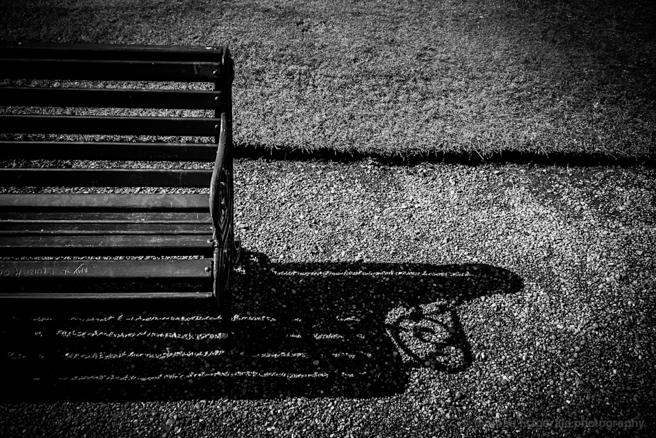 Shadow of a bench