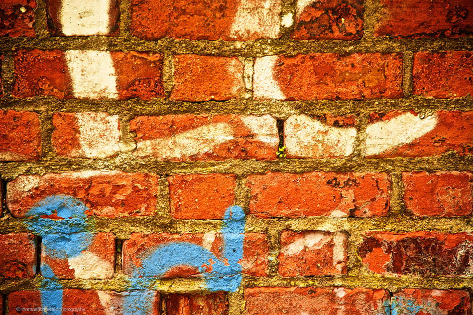 Vivid Grafitti on a Brick Wall