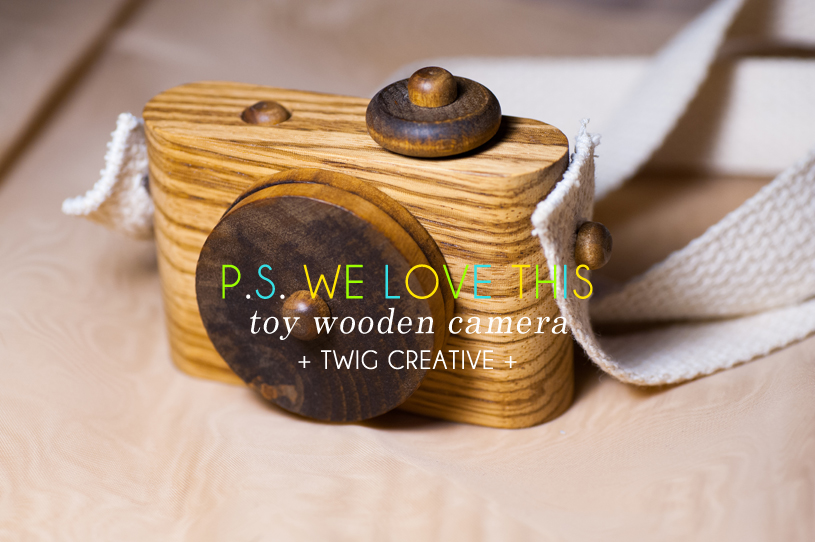 Twig Camera, Wooden Camera