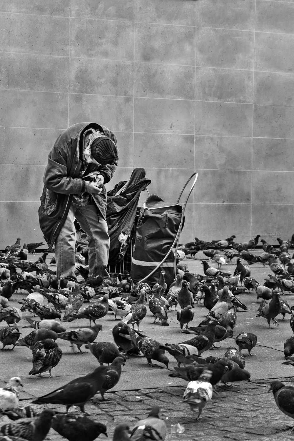 Street Photo in Luxembourg | Catalin Burlacu Photography | Pigeons old man