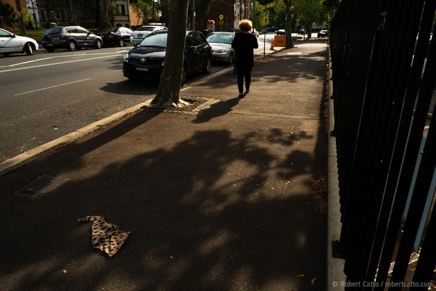 Lost Leopard 2, Sydney Streets
