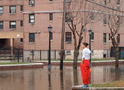  NYCHA & the Hurricane: Public housing learns from Sandy... What’s the plan for the next big storm?
