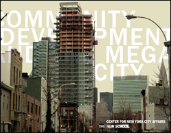 Community Development and the Mega City