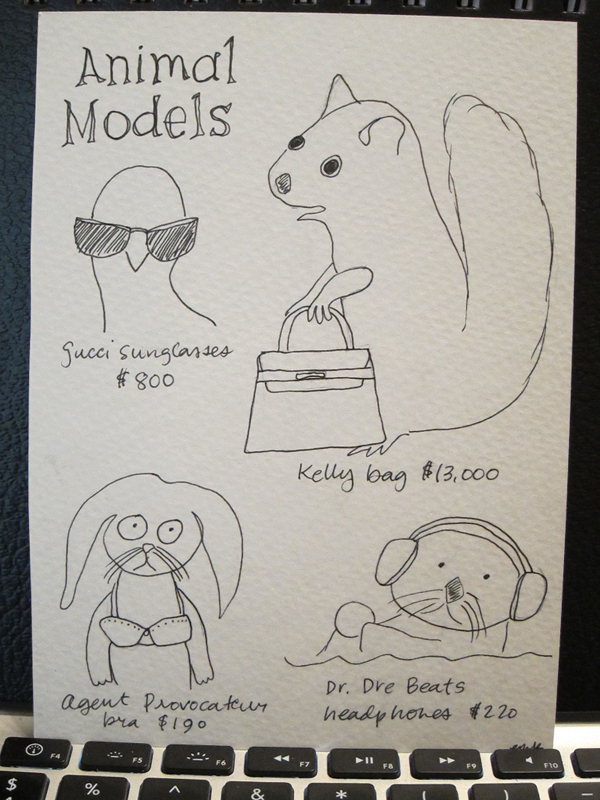 animal models