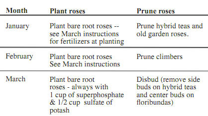 Dick Streeper's Calendar of Care for Roses, free download