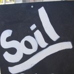 Soil - Copy