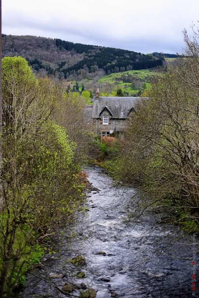 house stream scotland