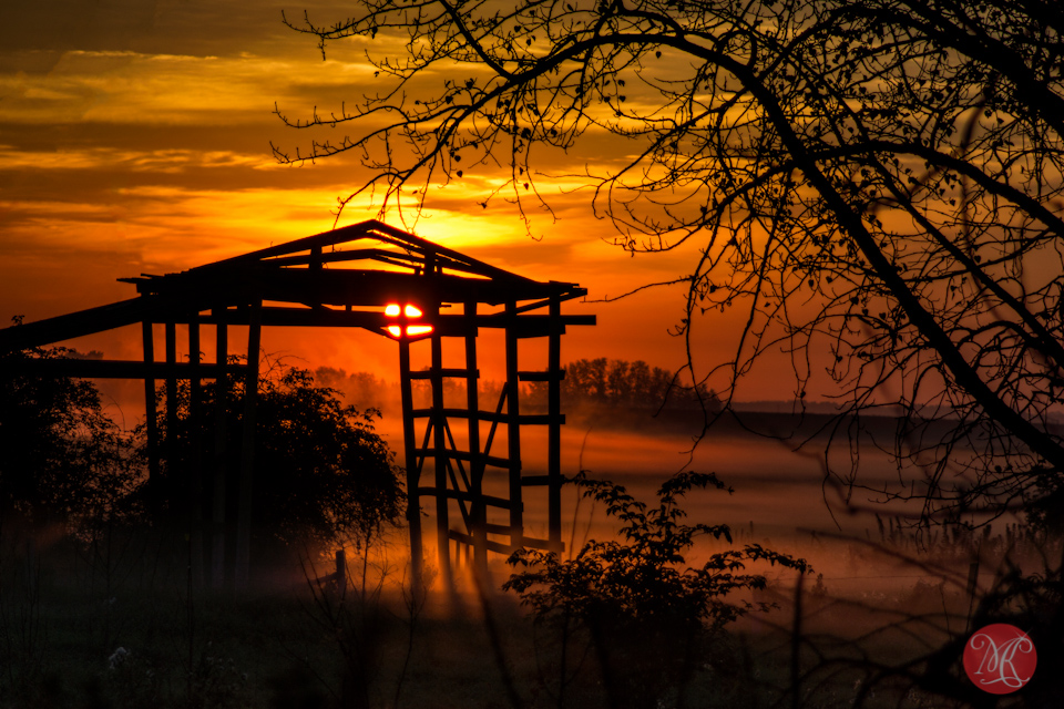 sunrise alberta fog landscape photography