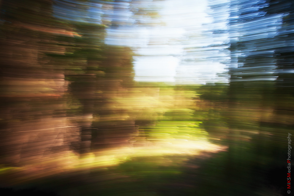 abstract spin forest fall