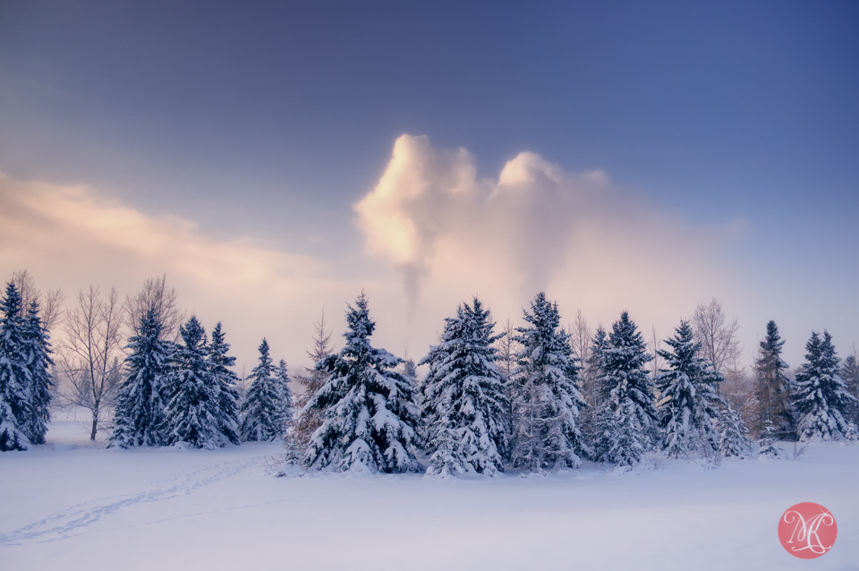 Edmonton winter landscape photography