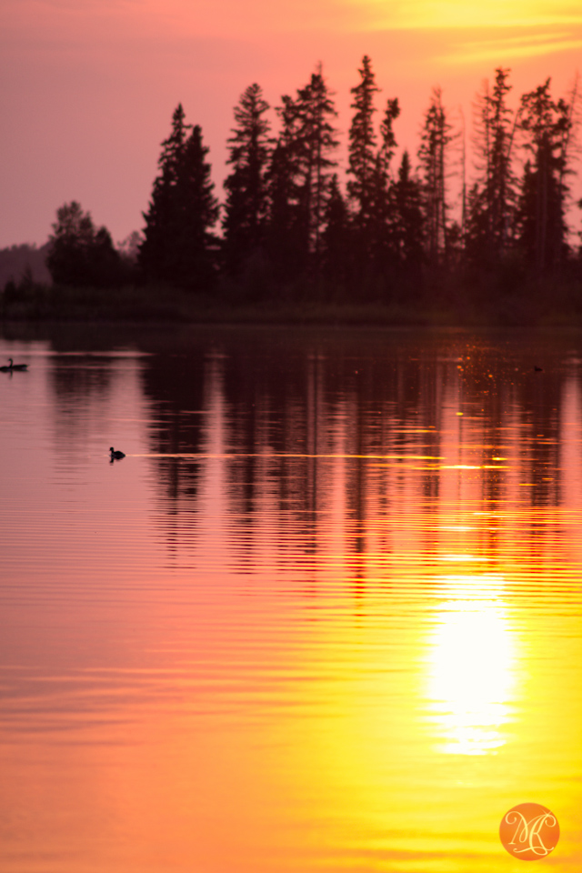 alberta lake reflection landscape photography