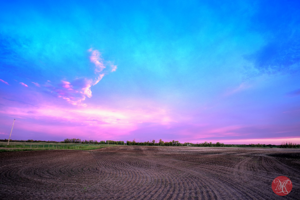 field-landscape-alberta-photographer-sunset-summer