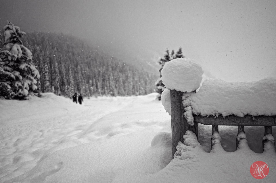 snow winter landscape alberta photographer