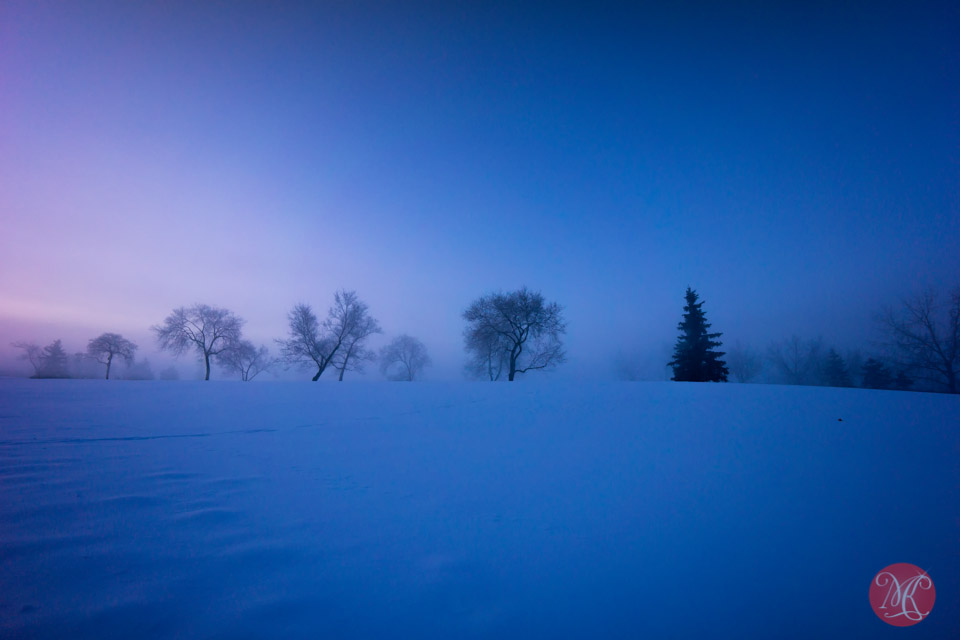 foggy winter sunrise alberta landscape photographer