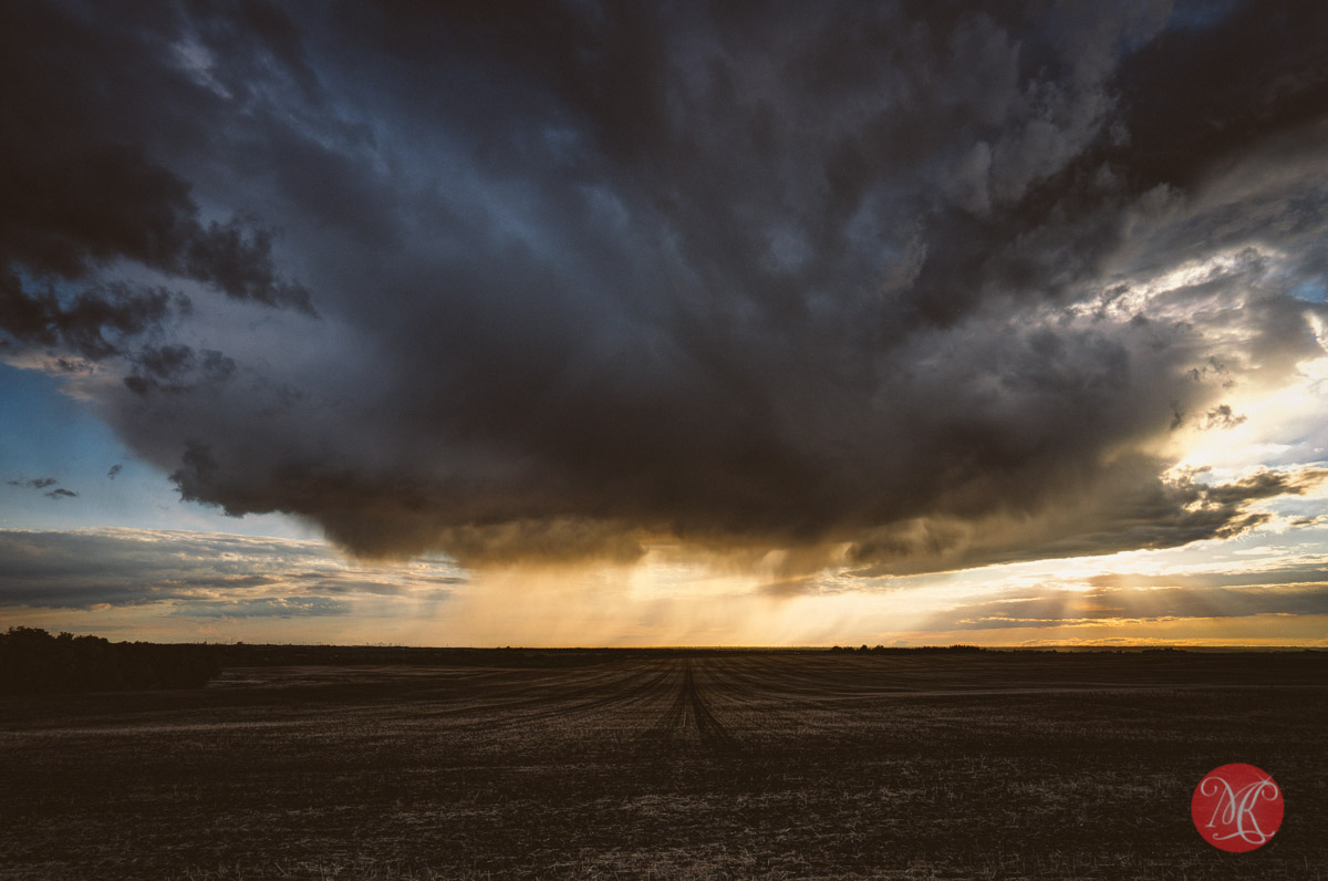 storm field alberta landscape photography