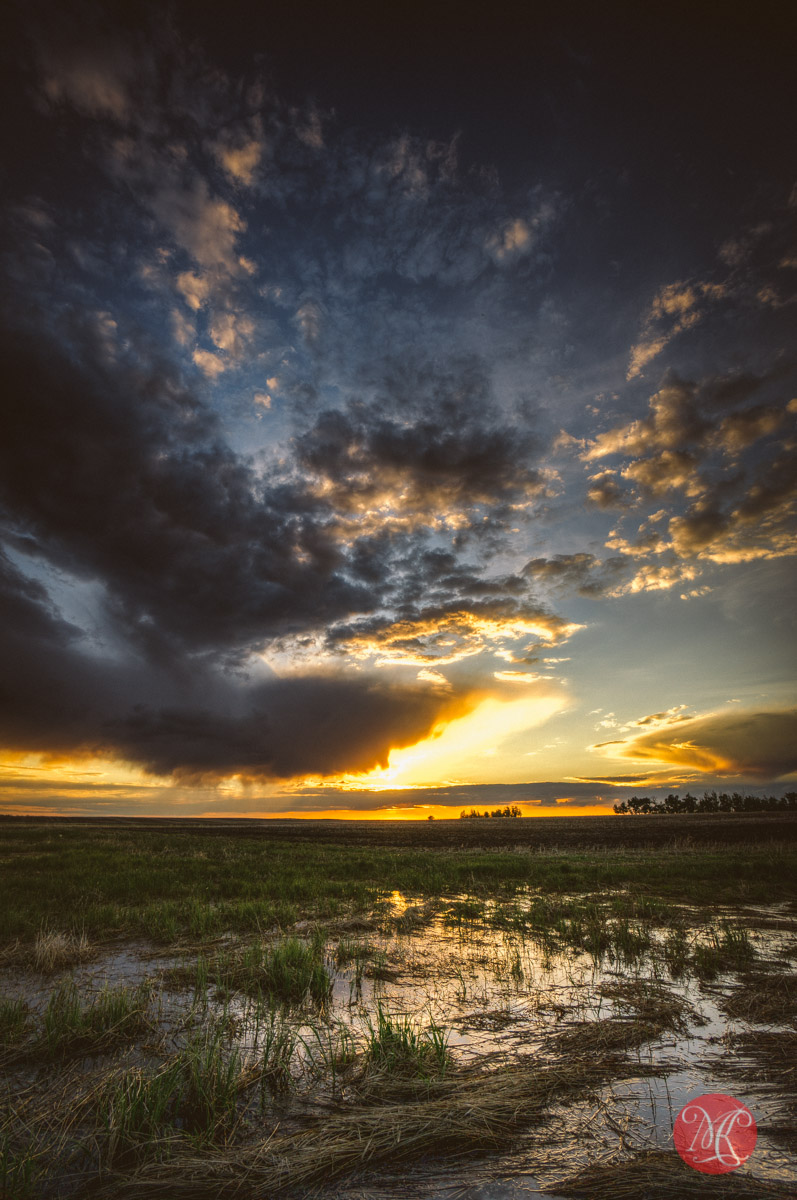 sunset alberta field prairie landscape