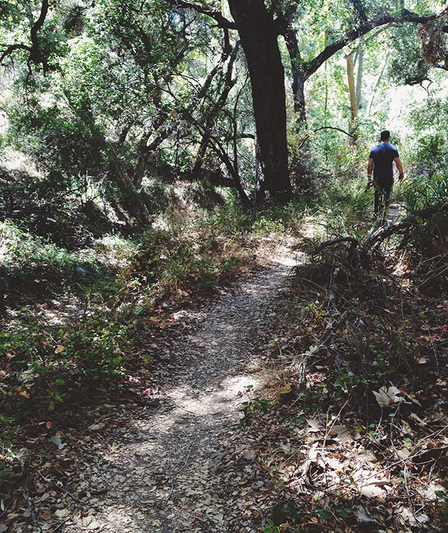 santa ynez trail found