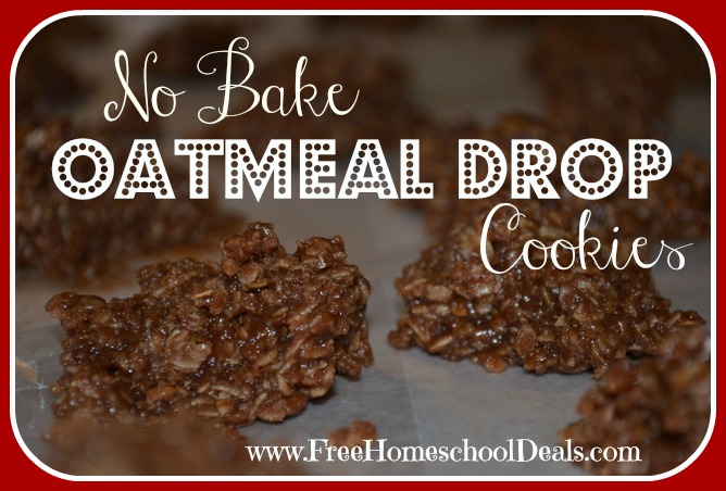 No Bake Oatmeal Drop Cookies