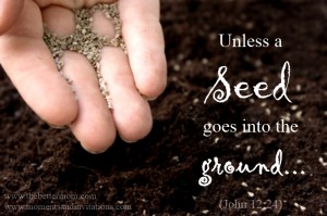 unless a seed