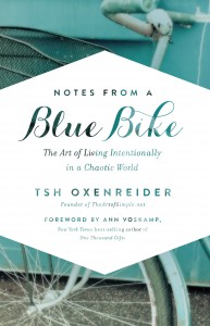 Notes from a Blue Bike Cover high rez