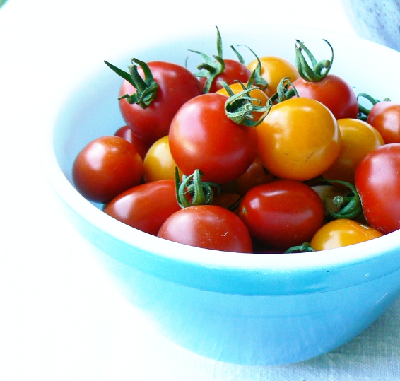 Sungold yellow cherry tomatoes and Sweet 100's cherry tomato are like a little bowl of sunshine!