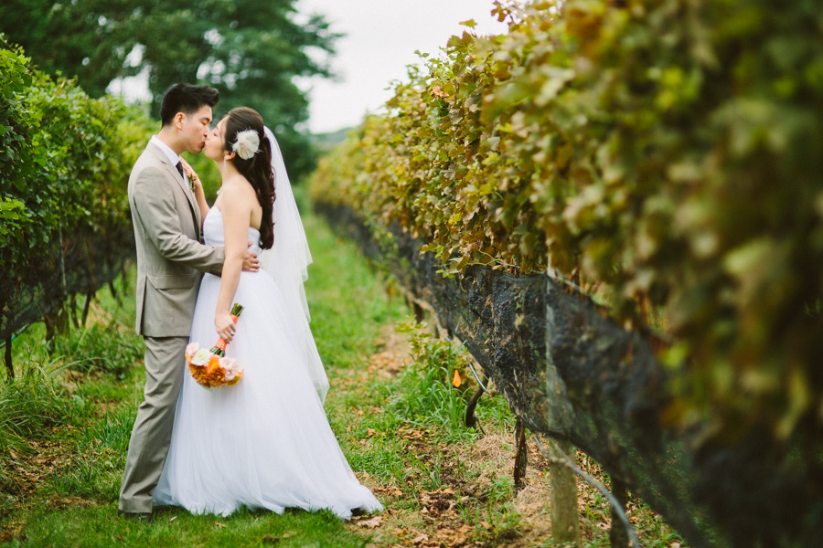 Vineyard Wedding Photographer