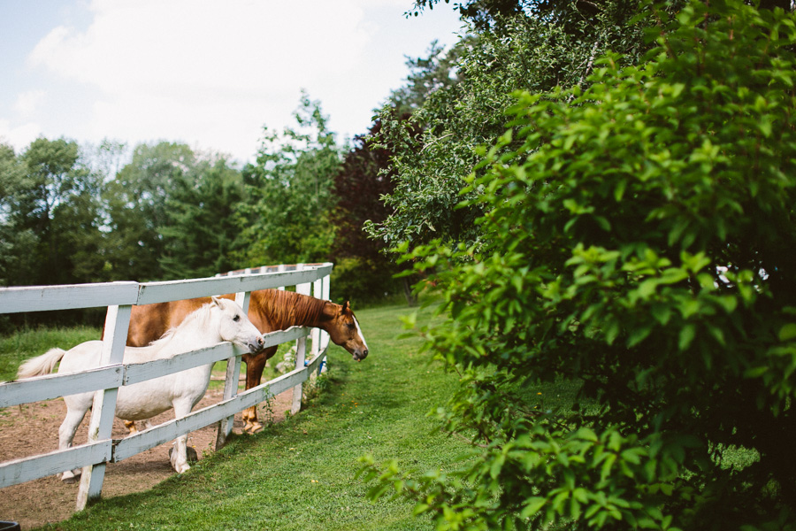 Horse Farm Wedding Photography