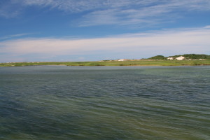 Ptown_20070809 _03