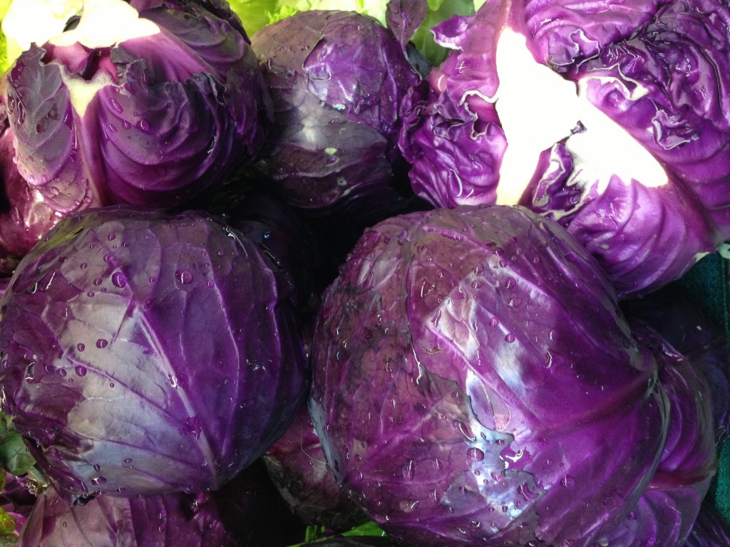Cabbage for soup