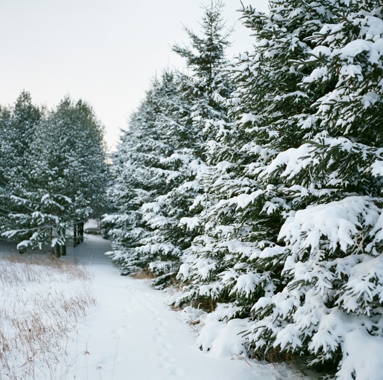 Door-County-Wisconsin-Winter-01