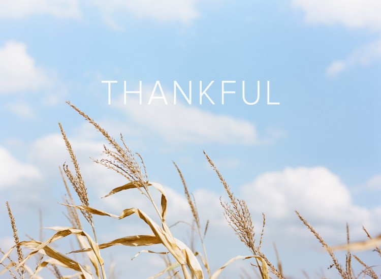 fall-thankful-thanksgiving